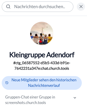 Screenshot: Chat durchsuchen und Chat-Informationen sehen
